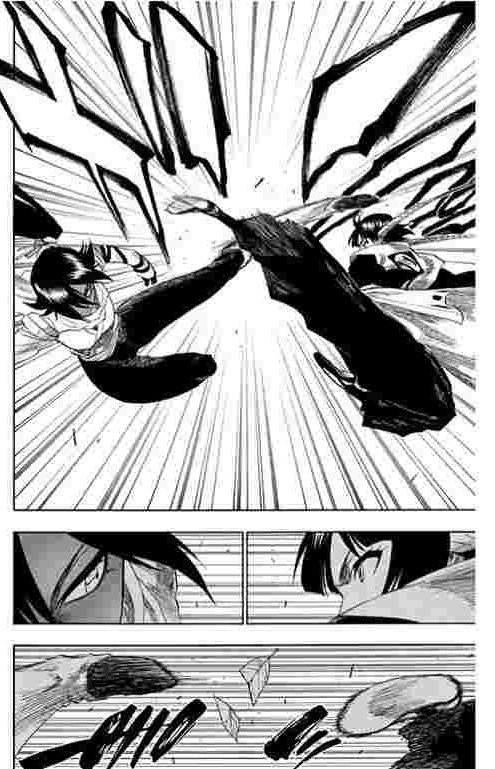 師匠様専用ブリーチBLEACH四楓院夜一瞬鬨・雷獣戦形 BLEACH】四